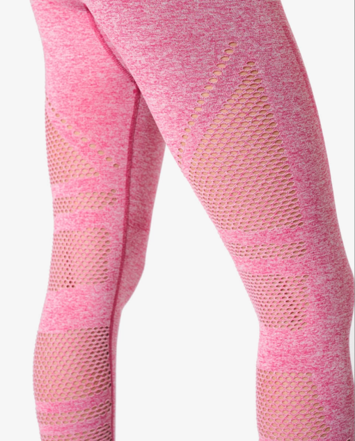 icaniwill queen mesh tights