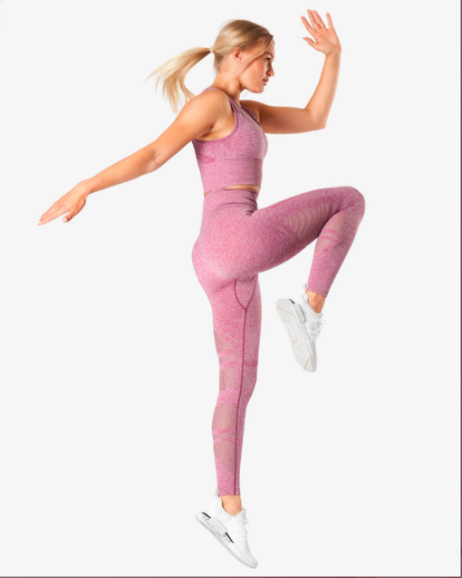 icaniwill queen mesh tights