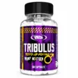 Real Pharm Tribulus - Tribulus for Muscle Growth - 11122 - 1