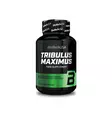 BiotechUSA Tribulus Maximus testosterone booster - Other Vitamin Supplements - 01403 - 1