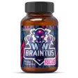 OstroVit Braintus Focus 90 caps - Pre-Workout Supplements - 08874 - 1